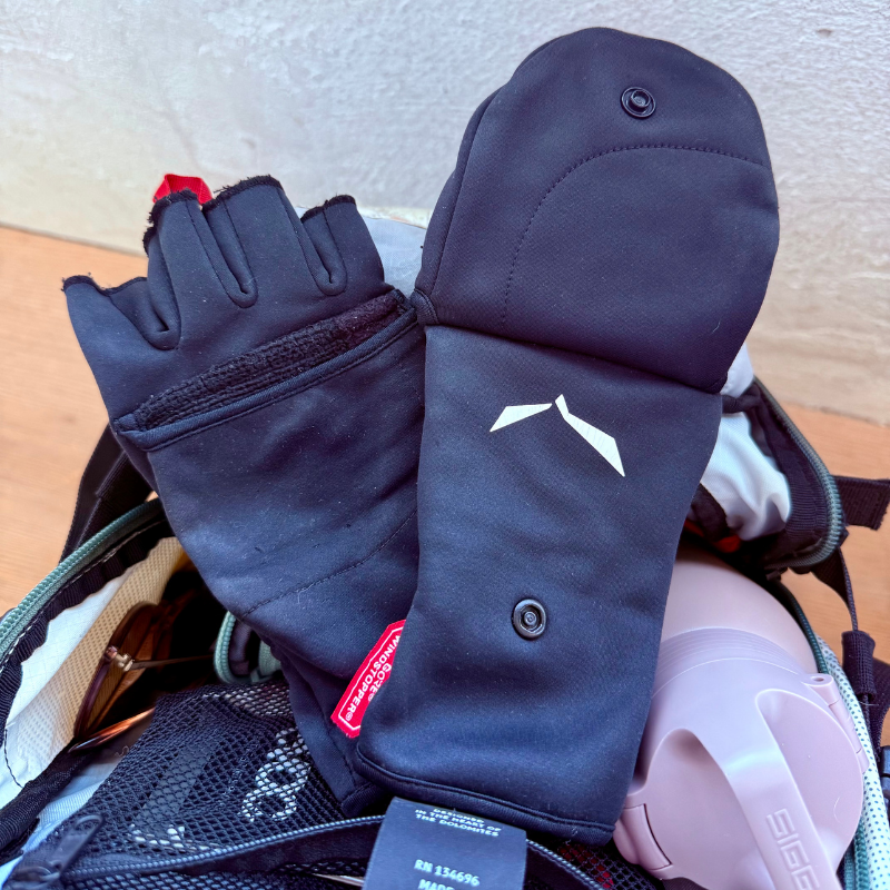 Bild meiner etwas älteren Salewa Handschue